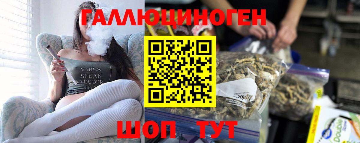 Псилоцибиновые грибы GOLDEN TEACHER Соликамск