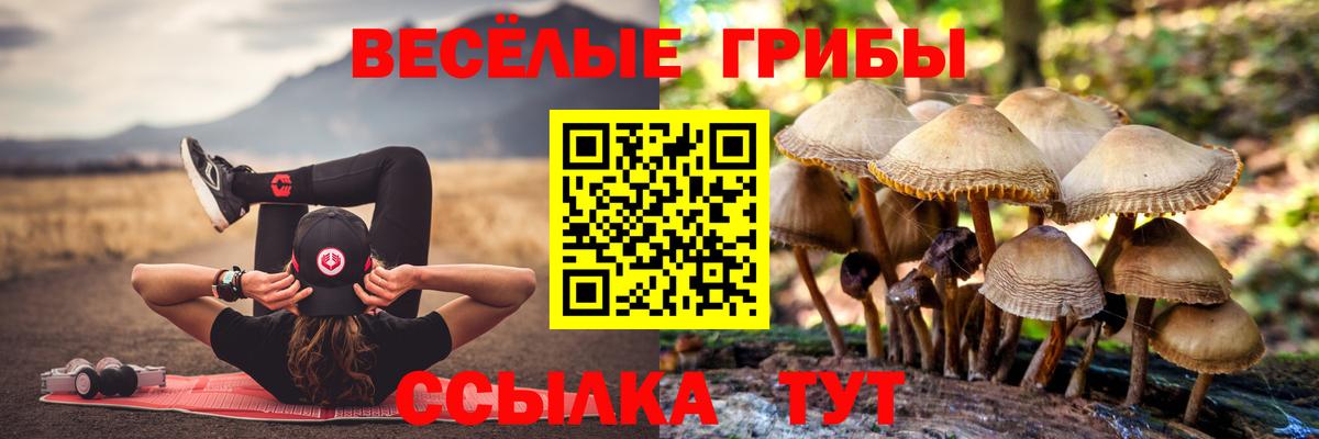 Псилоцибиновые грибы Psilocybine cubensis  хочу наркоту  Соликамск  Вход с VPN 